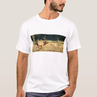 Camiseta Alces de Bull no parque da montanha rochosa