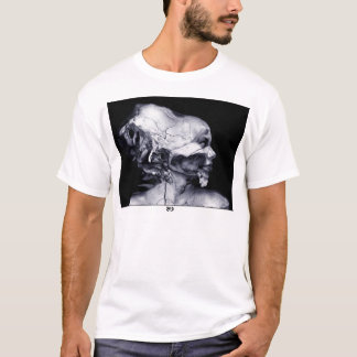 CAMISETA ALECTO