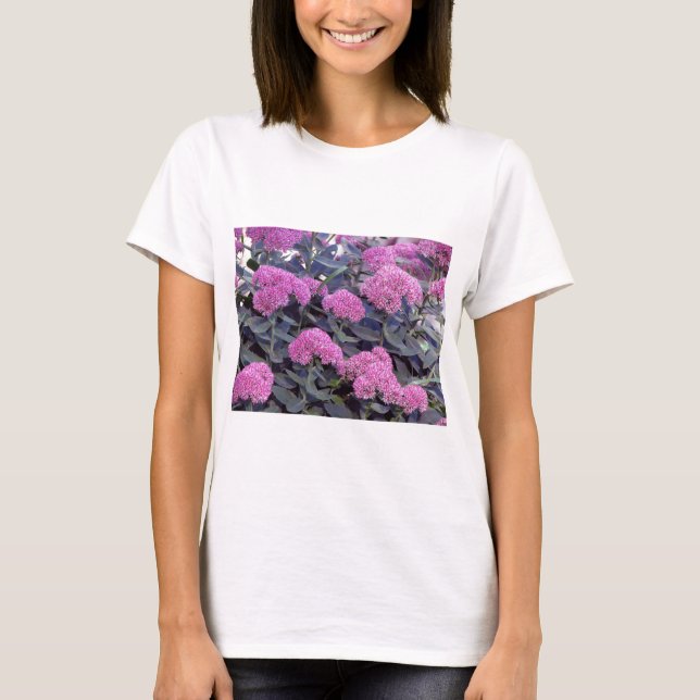 Camiseta Alegria do outono de Sedum (Frente)