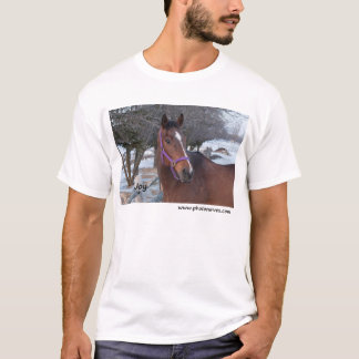 Camiseta Alegria NNEP Ottawa, SOBRE