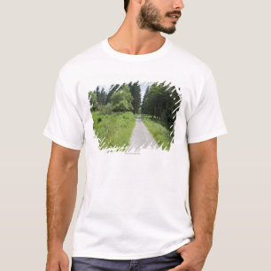 Camiseta Alemanha, Thuringia, trajeto na floresta