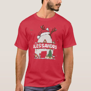 Camiseta Alessandro Christmas w Alessandro Name for engraça