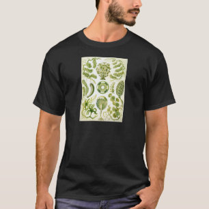 Camiseta Alga e algas do Siphoneae de Ernst Haeckel