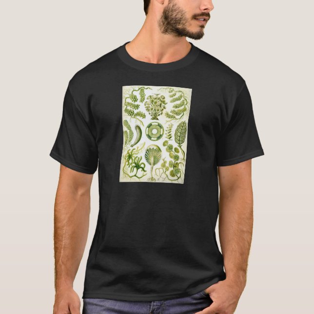 Camiseta Alga e algas do Siphoneae de Ernst Haeckel (Frente)