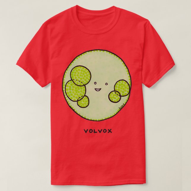 Camiseta Algas volvox (Frente do Design)