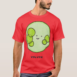 Camiseta Algas volvox
