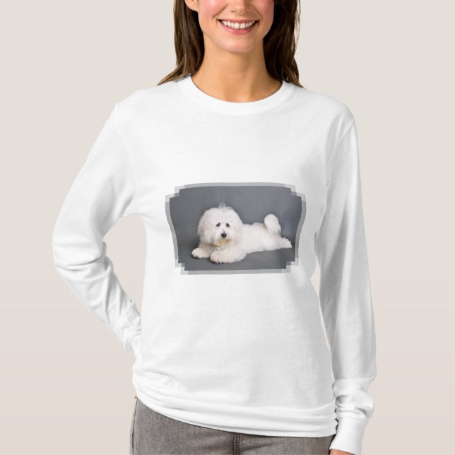 Camiseta Algodão de Tulear - Joci (Frente)