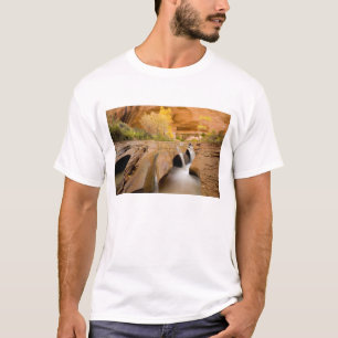 Camiseta Algodões no Outono, Coyote Gulch, Glen