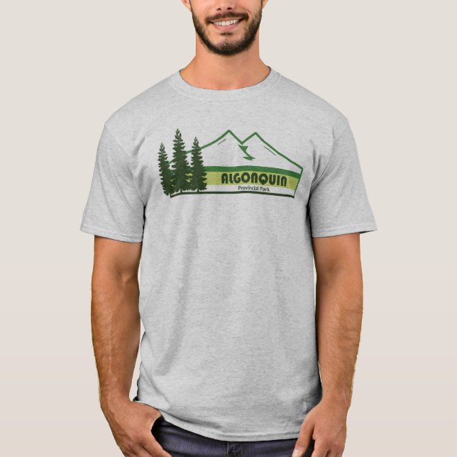 Camiseta Algonquin Provincial Park Green Stripes (Frente)