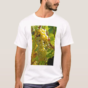 Camiseta Algumas Chasselas na vinha - plantadas há muito te
