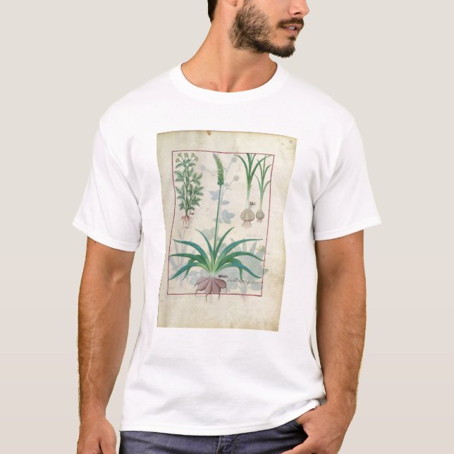 Camiseta Alho e outras plantas (Frente)