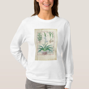 Camiseta Alho e outras plantas