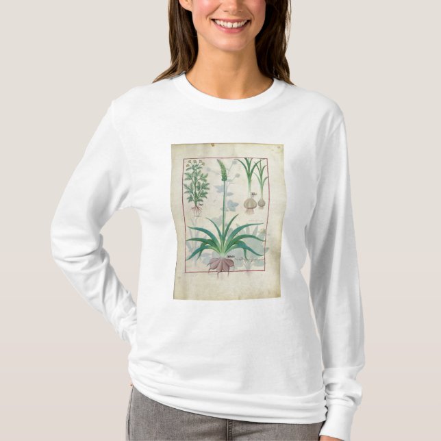 Camiseta Alho e outras plantas (Frente)