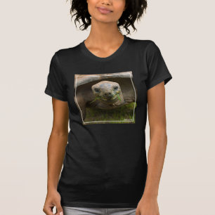 Camiseta Alimentação da tartaruga de Aldabra