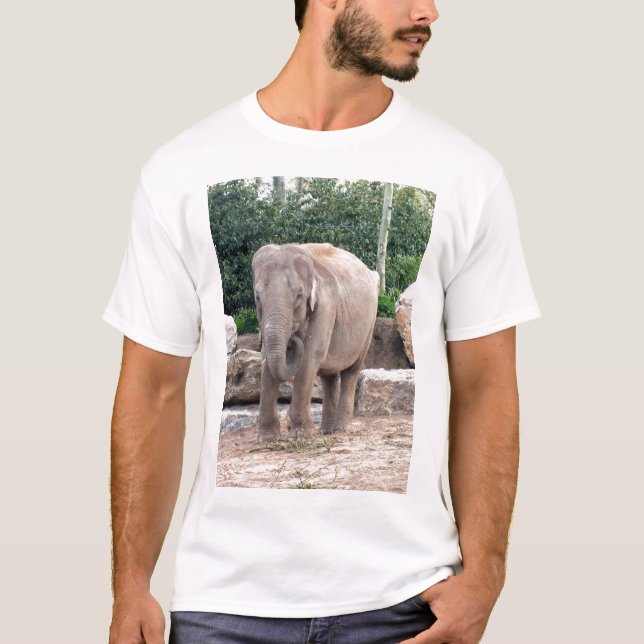 Camiseta Alimentação de elefantes indianos (Frente)