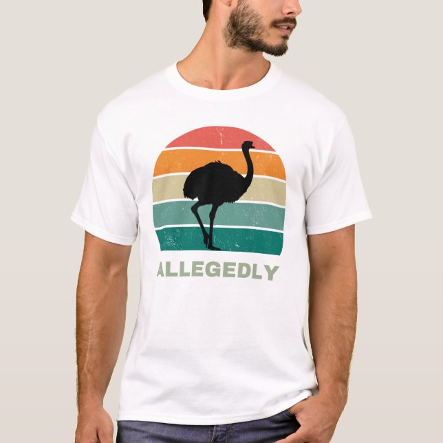 Camiseta Allegedly  (Frente)