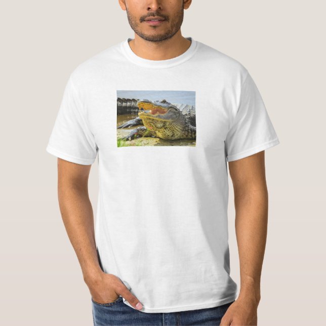 Camiseta Alligador. Face a face (Frente)