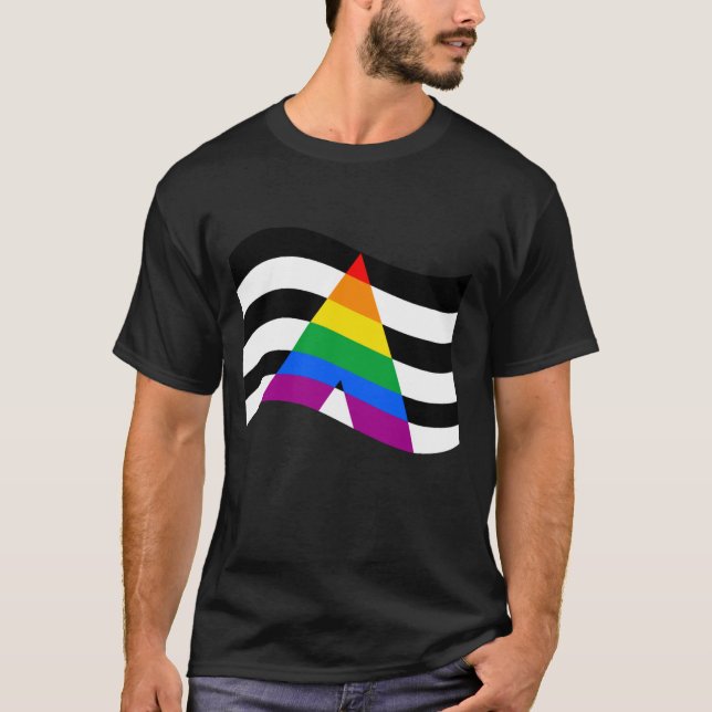 Camiseta Ally Pride (Frente)