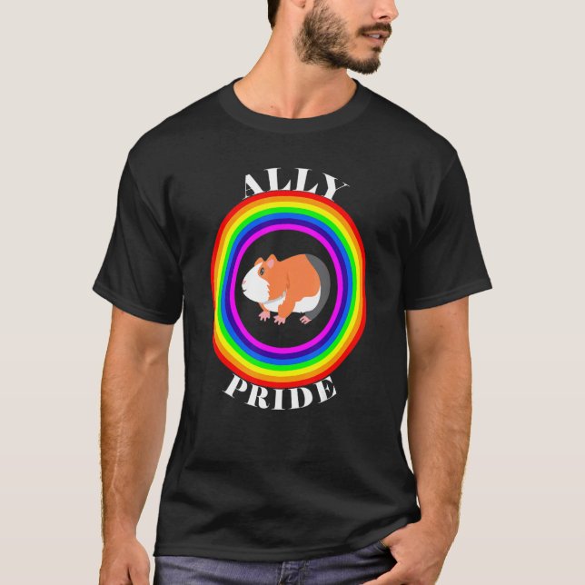 Camiseta Ally Pride LGBTQ Igualdade Rainbow Lésbica Gay Tra (Frente)