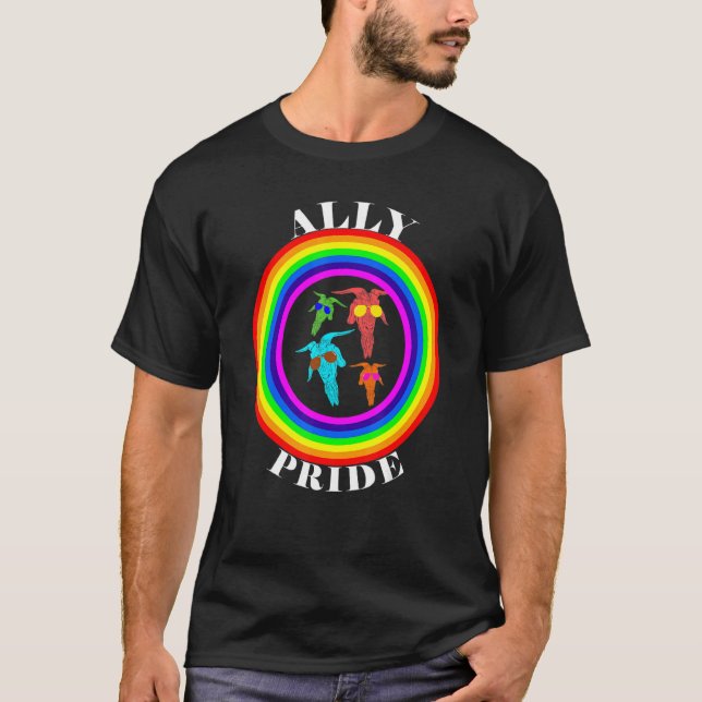 Camiseta Ally Pride LGBTQ Igualdade Rainbow Lésbica Gay Tra (Frente)