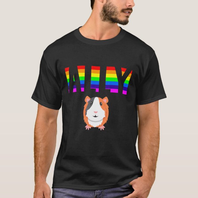 Camiseta Ally Pride LGBTQ Igualdade Rainbow Lésbica Gay Tra (Frente)