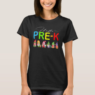 Camiseta Alô Professor Pré-K Estudante De Volta Aos Gnomos