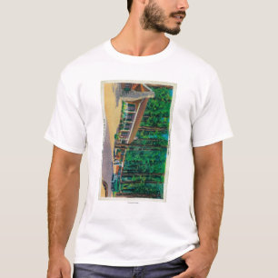 Camiseta Alojamento grande das árvores no bosque de