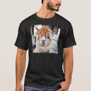 Camiseta Alpaca