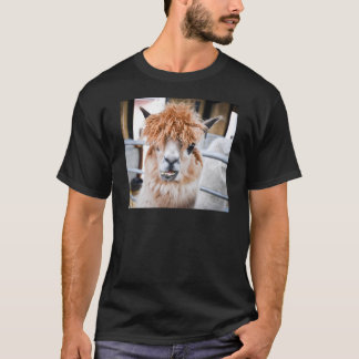 Camiseta Alpaca