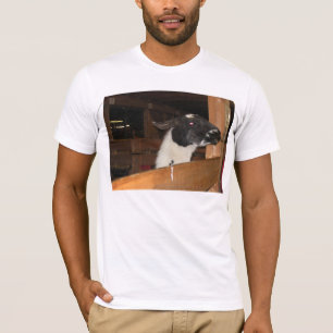 Camiseta Alpaca não um lama