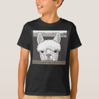 Alpaca Portrait