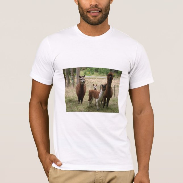 Camiseta Alpacas bonitos de Brown no jardim zoológico (Frente)