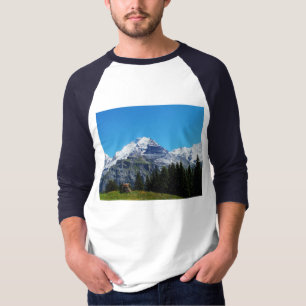 Camiseta Alpes suíços