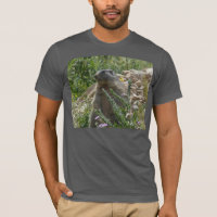 Camiseta Alpina Sentada Sentada