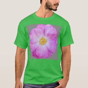 Camiseta Alturas Indecentes