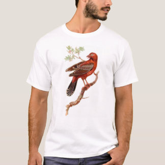 Camiseta amandava no branco