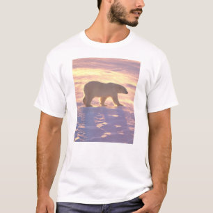 Camiseta Amanhecer 3 do urso polar