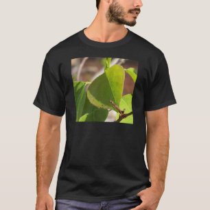 Camiseta amanhecer Dew na folha de sebo chinesa