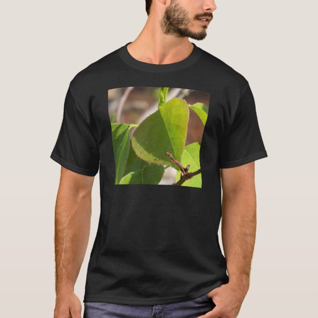 Camiseta amanhecer Dew na folha de sebo chinesa (Frente)
