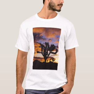 Camiseta Amanhecer Espectacular no Parque Nacional Joshua T