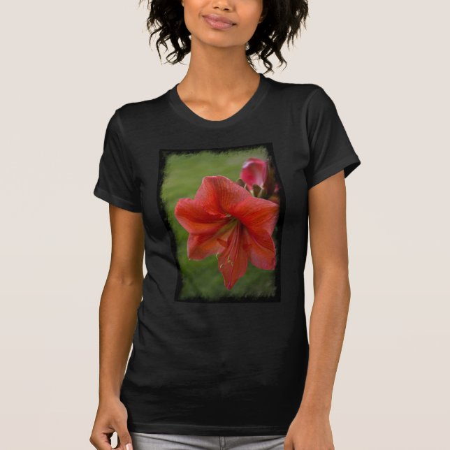Camiseta Amaryllis (Frente)