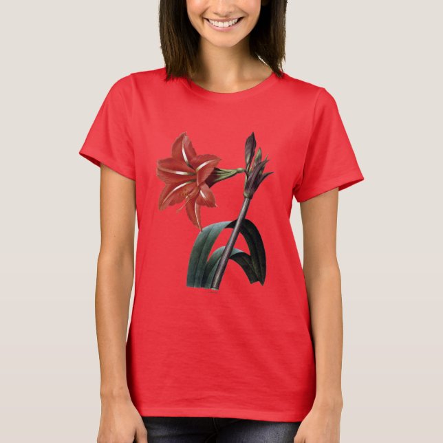 Camiseta Amaryllis listrado (Frente)