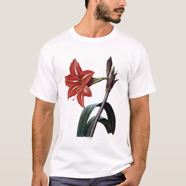 Camiseta Amaryllis listrado (Frente)
