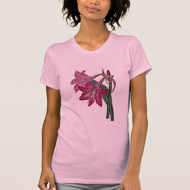 Camiseta Amaryllis Reticulata (Frente)