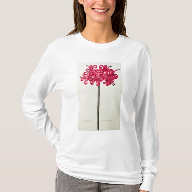 Camiseta Amaryllis Sarniensis, ou narciso (Frente)