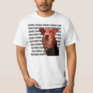 Camiseta Amável e Insano.