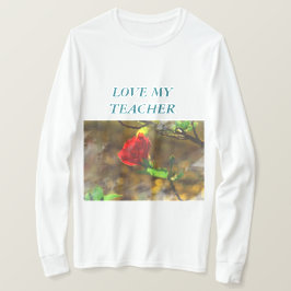Camiseta Ame Meu Professor