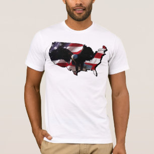 Camiseta América