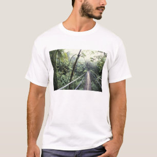 Camiseta América Central, Costa Rica, Monteverde Nublado