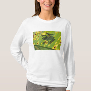 Camiseta AMÉRICA CENTRAL, Costa Rica, sapo iluminado por tr
